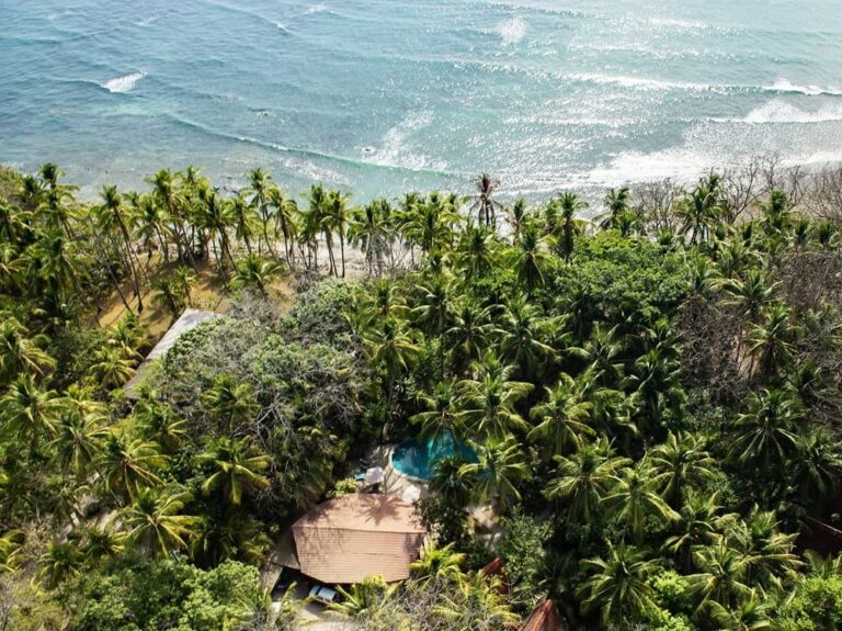 DSC 6175 2 1 1 768x575