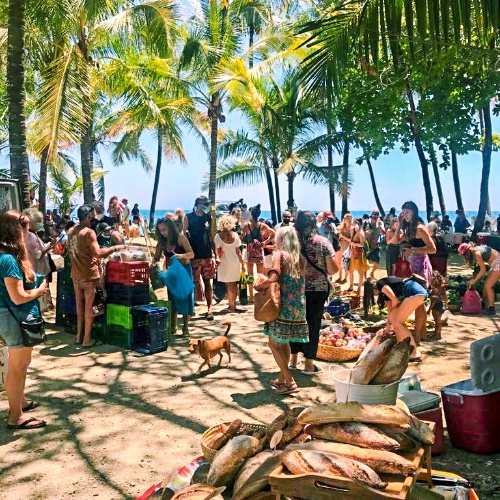 Saturday organic market in Montezuma Costa Rica