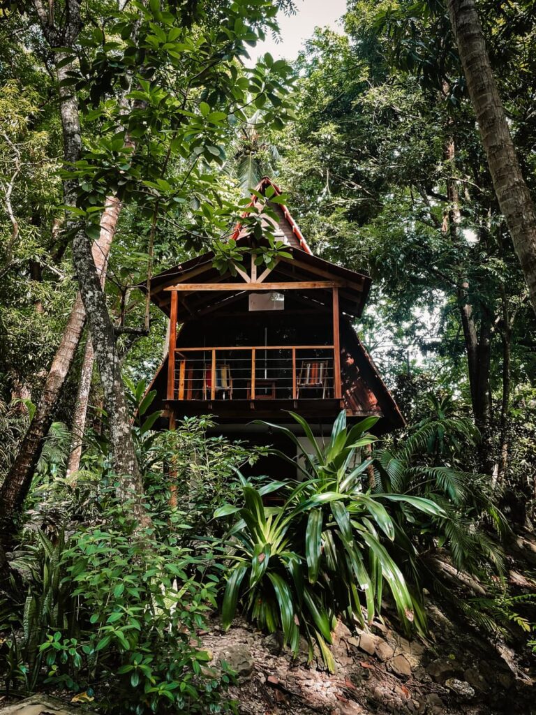 IMG 5604 2 1 768x1024