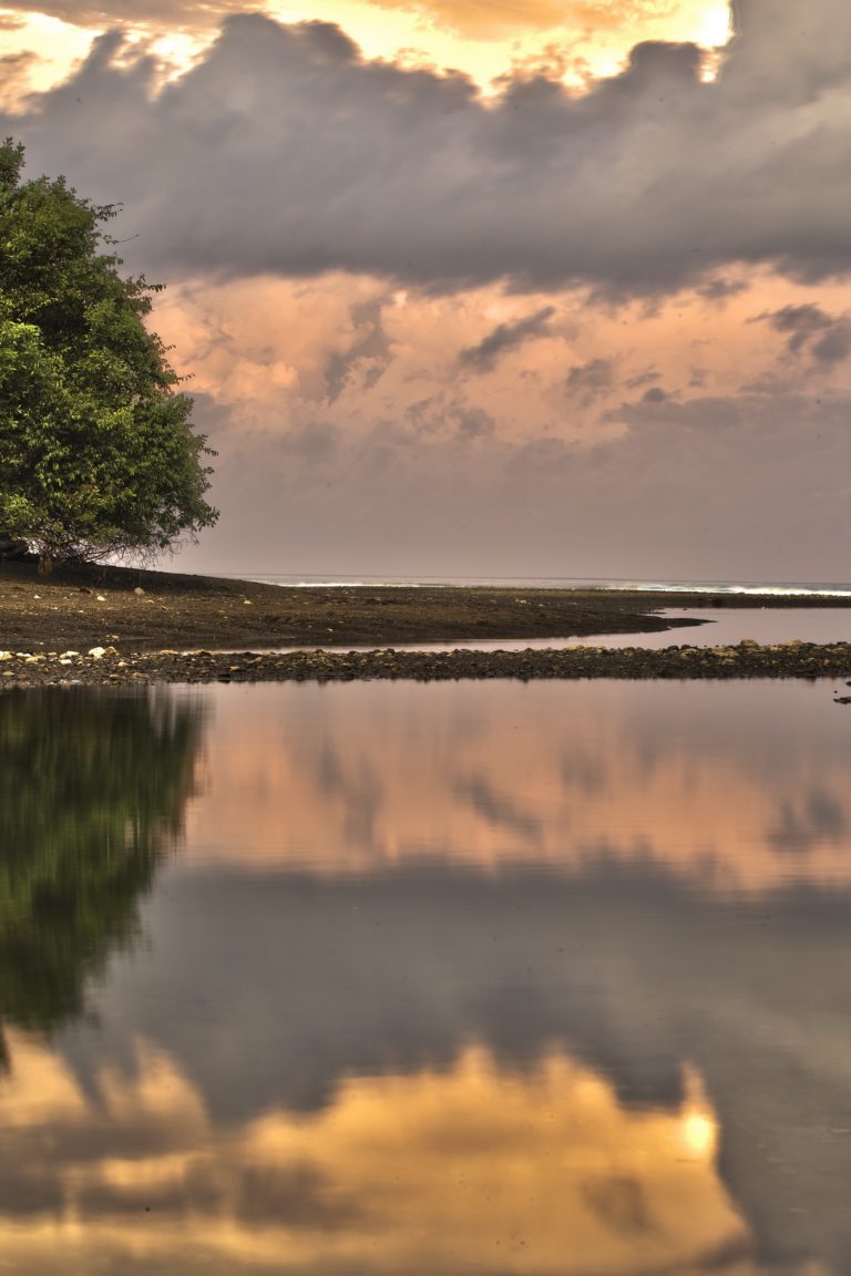 Lajasriver 2 768x1152