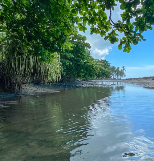 view of Migeon river