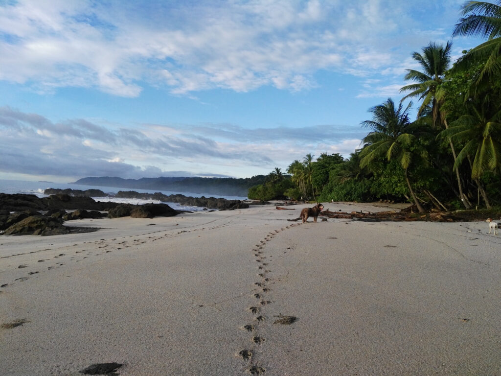 montezuma beach essentials