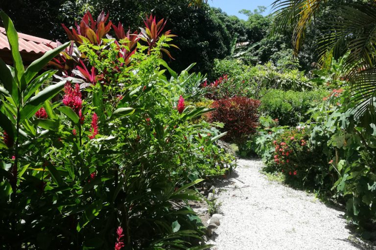 Mundo Goubart 3 768x512