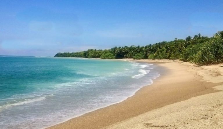 Nicoya Real Estate 2 768x444