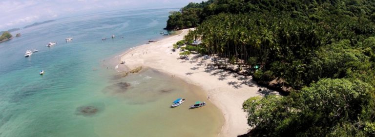 tortuga island beach 768x281