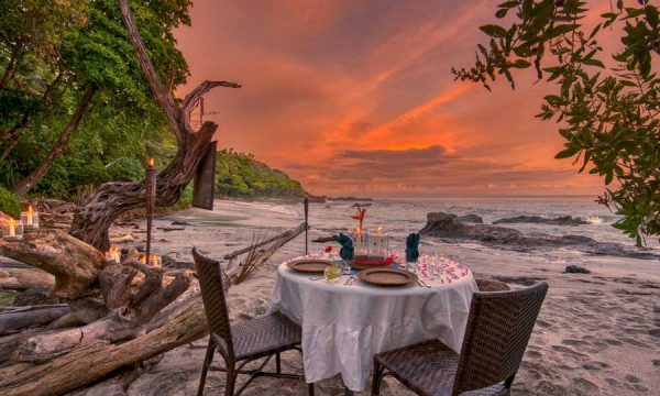 ylang ylang restaurant montezuma