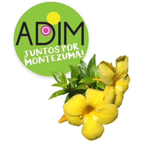 ADIM logo with local yellow flower