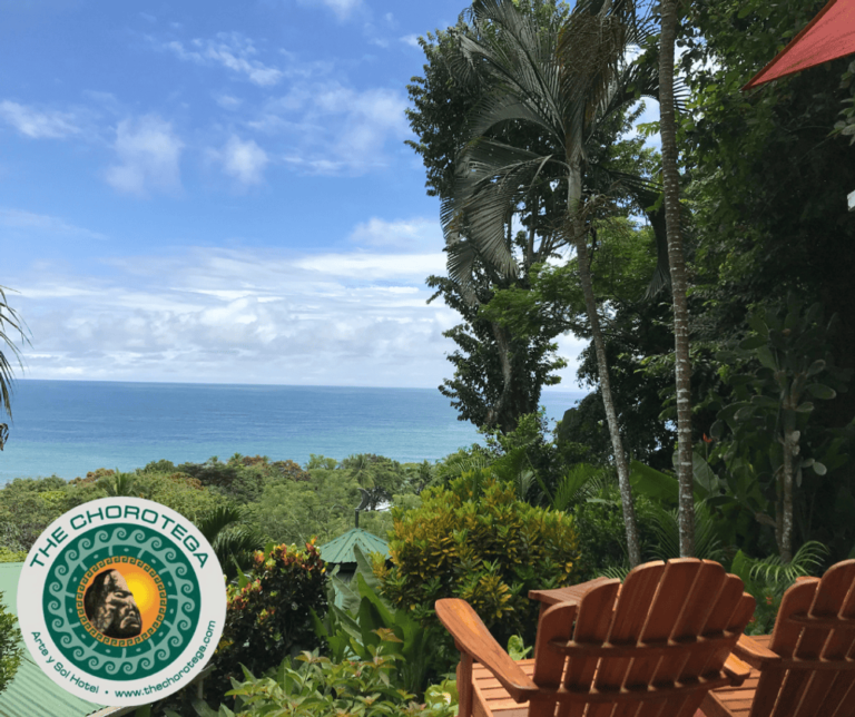 Diseño sin tÃtulo 5 Andres Chavalazo 768x644