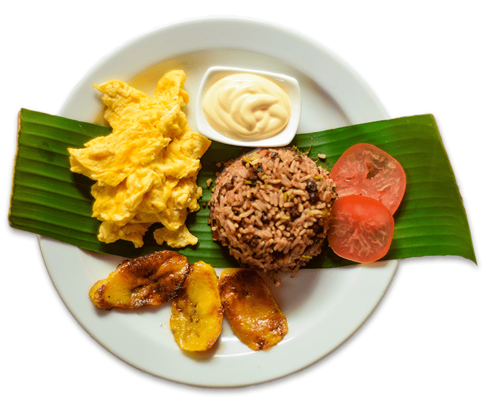 plate of gallo pinto traditional Costa Rican Montezuma